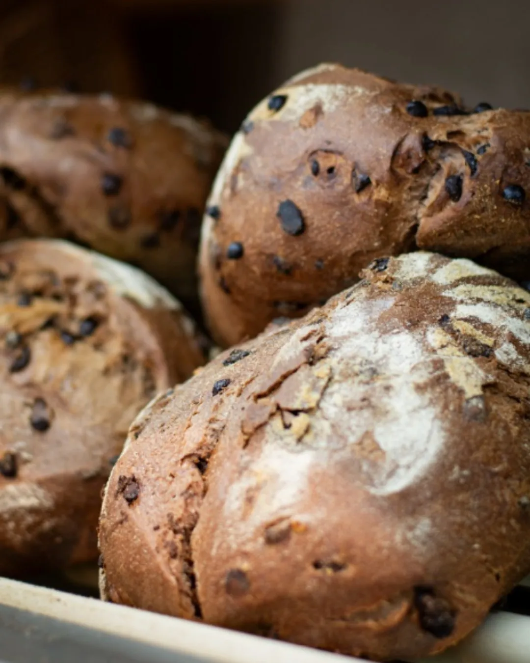 Pane
