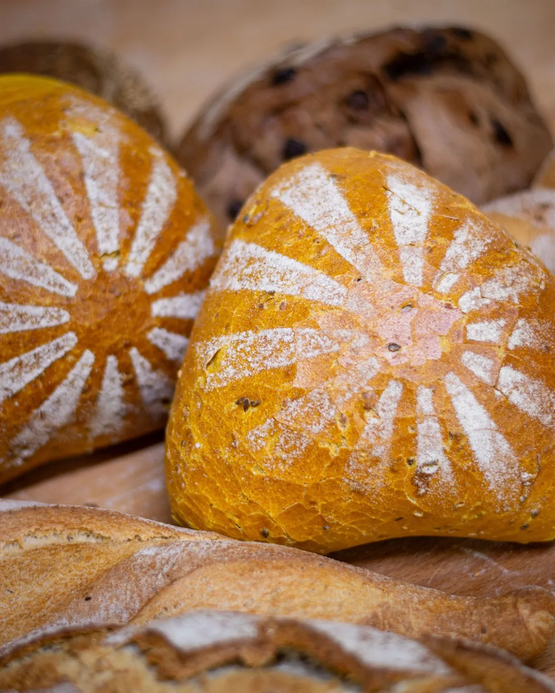 Pane