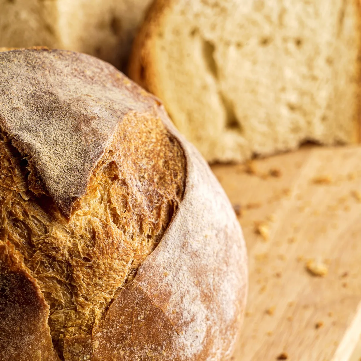 Pane