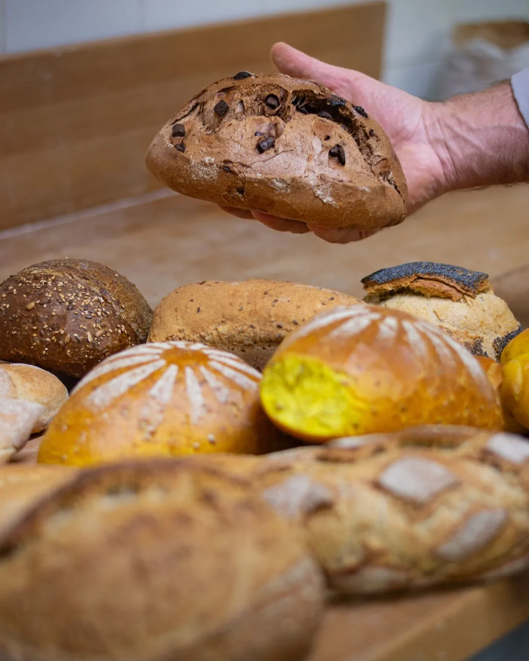 Pane